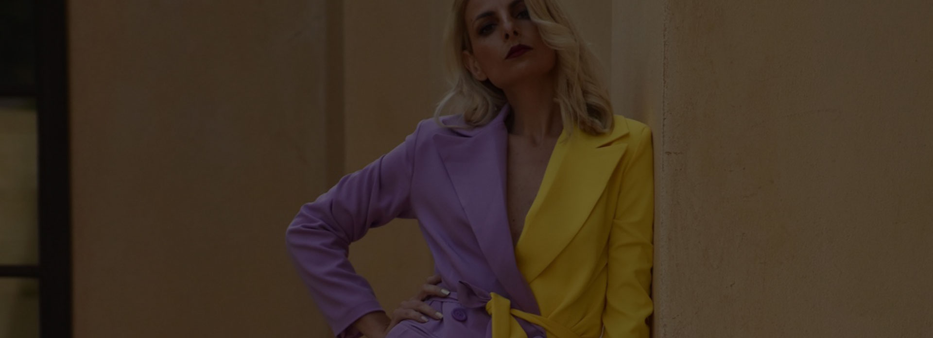 Όροι Χρήσης