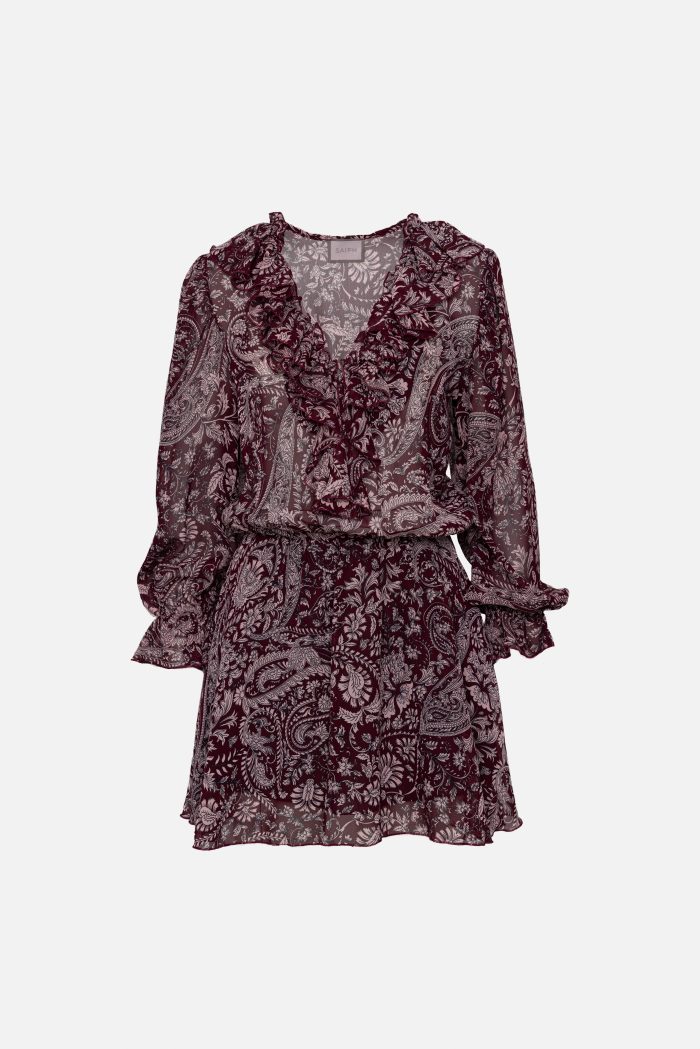 Μίνι Φόρεμα Μπορντό με Paisley Print “Adele”
